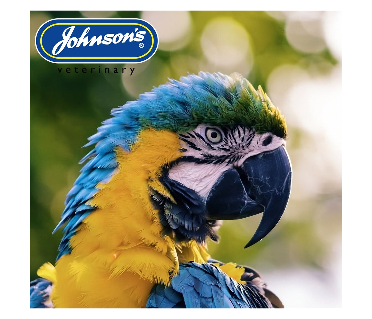 Johnson's - Parrot Bumper Bell 150g - Buy Online SPR Centre UK
