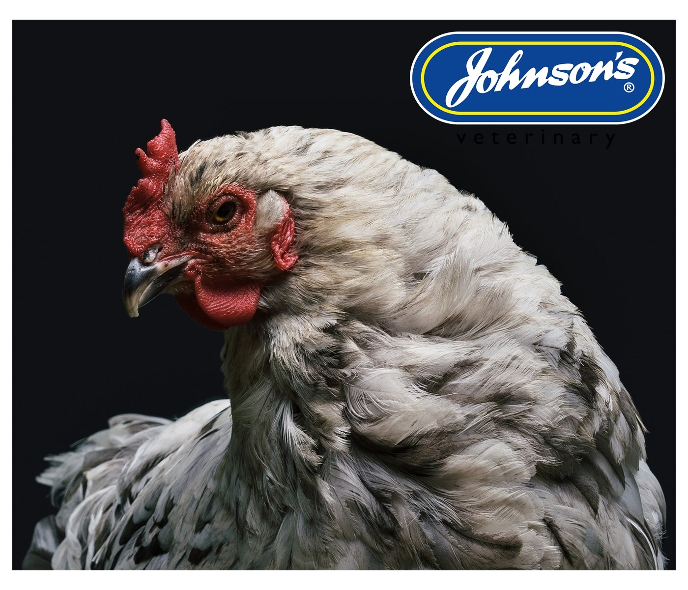 Johnson's - Poultry Virenza Disinfectant Spray - Buy Online SPR Centre UK