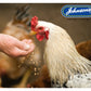 Johnson's - Poultry Virenza Disinfectant Spray - Buy Online SPR Centre UK