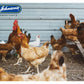 Johnson's - Poultry Virenza Disinfectant Spray - Buy Online SPR Centre UK