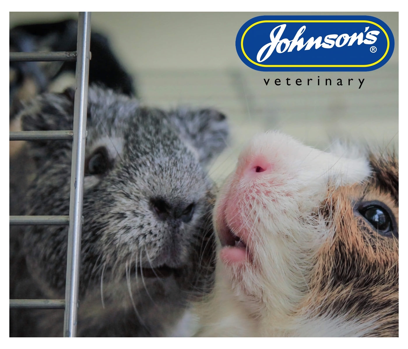 Johnson's - Cage 'n' Hutch Insect Spray - Buy Online SPR Centre UK