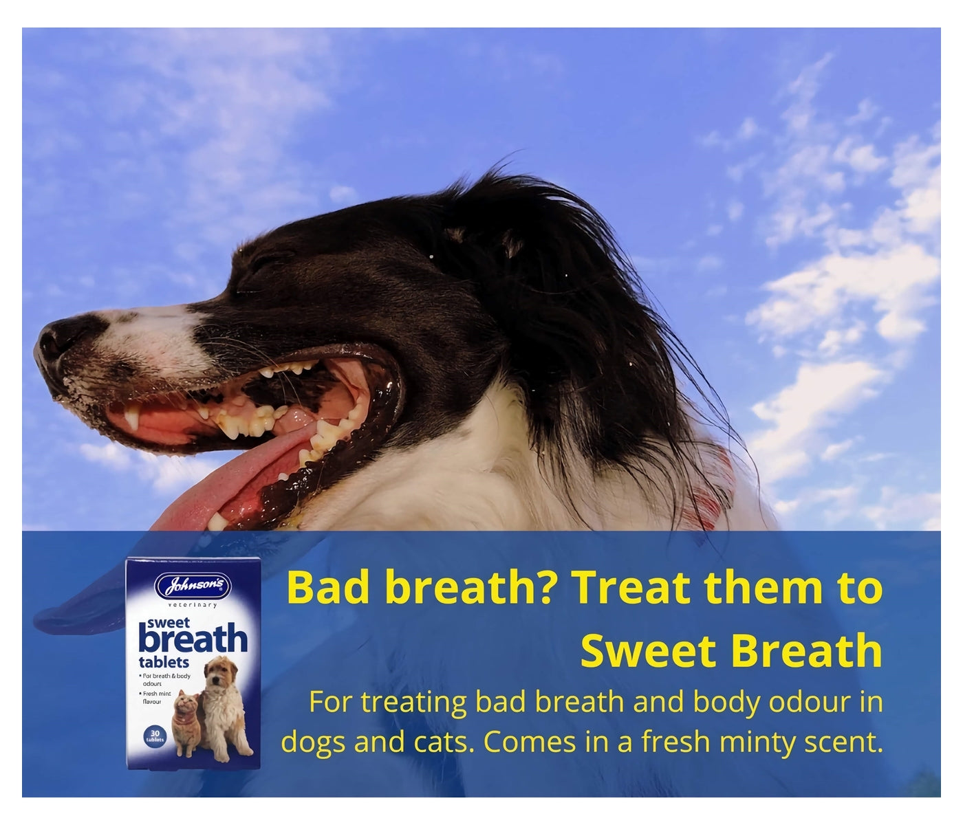 Johnson's - Sweet Breath Tablets - Buy Online SPR Centre UK