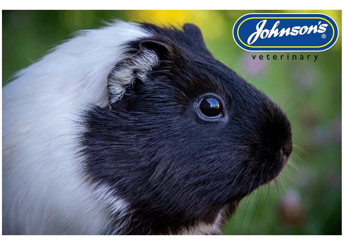 Johnson's Insecticidal Spray Extra for Small Animals - Buy Online SPR Centre UK