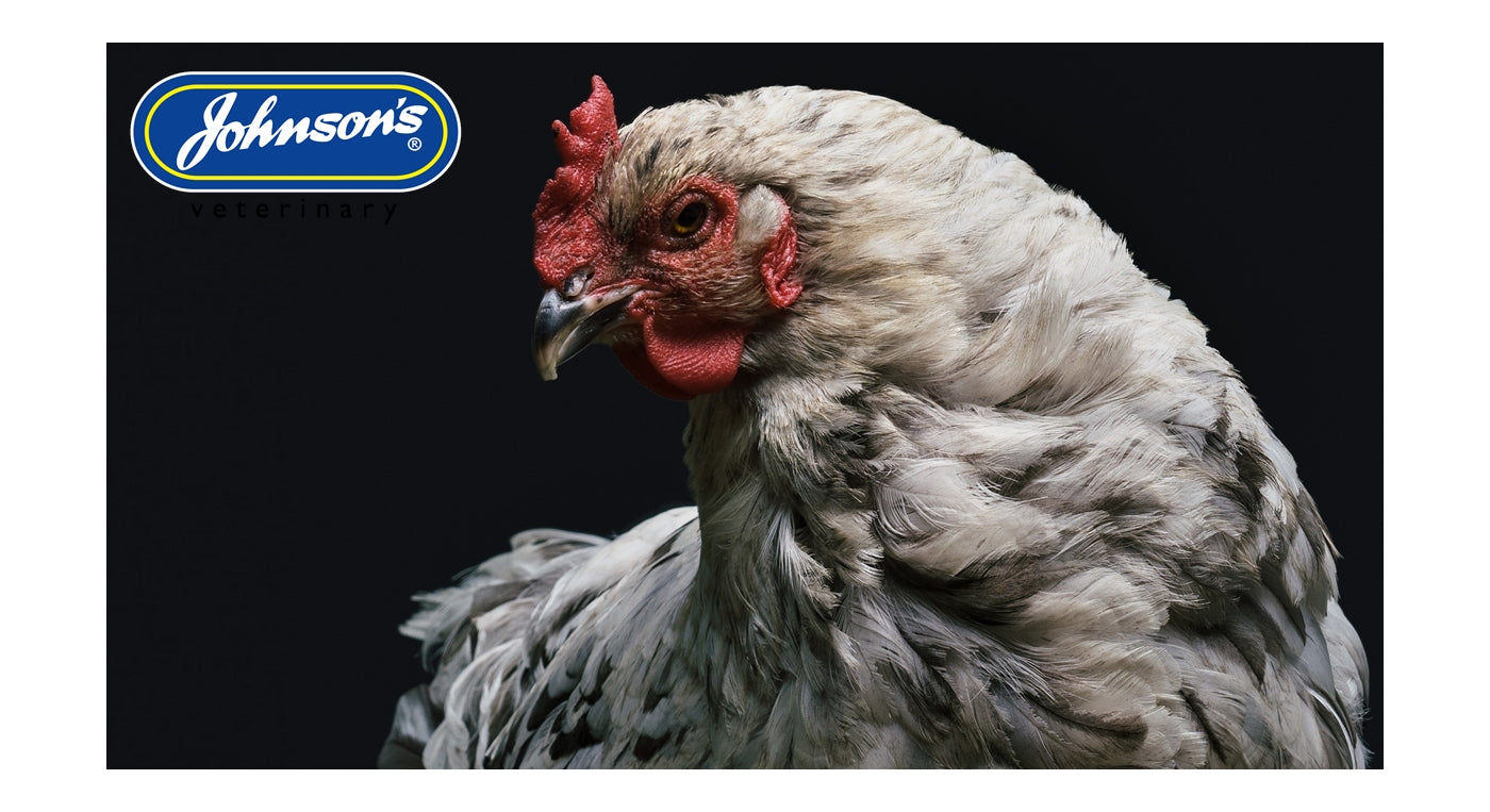 Johnson's - Anti-Pek Pump Spray for Cage Birds & Poultry - Buy Online SPR Centre UK