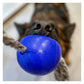 Jolly Pets - 'Romp-n-Roll' Jolly Ball (Blue) - Buy Online SPR Centre UK