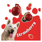 Jolly Pets - 'Romp-n-Roll' Jolly Ball (Red) - Buy Online SPR Centre UK