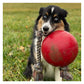 Jolly Pets - 'Romp-n-Roll' Jolly Ball (Red) - Buy Online SPR Centre UK