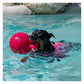 Jolly Pets - Tug-n-Toss Jolly Ball - Red - Buy Online SPR Centre UK
