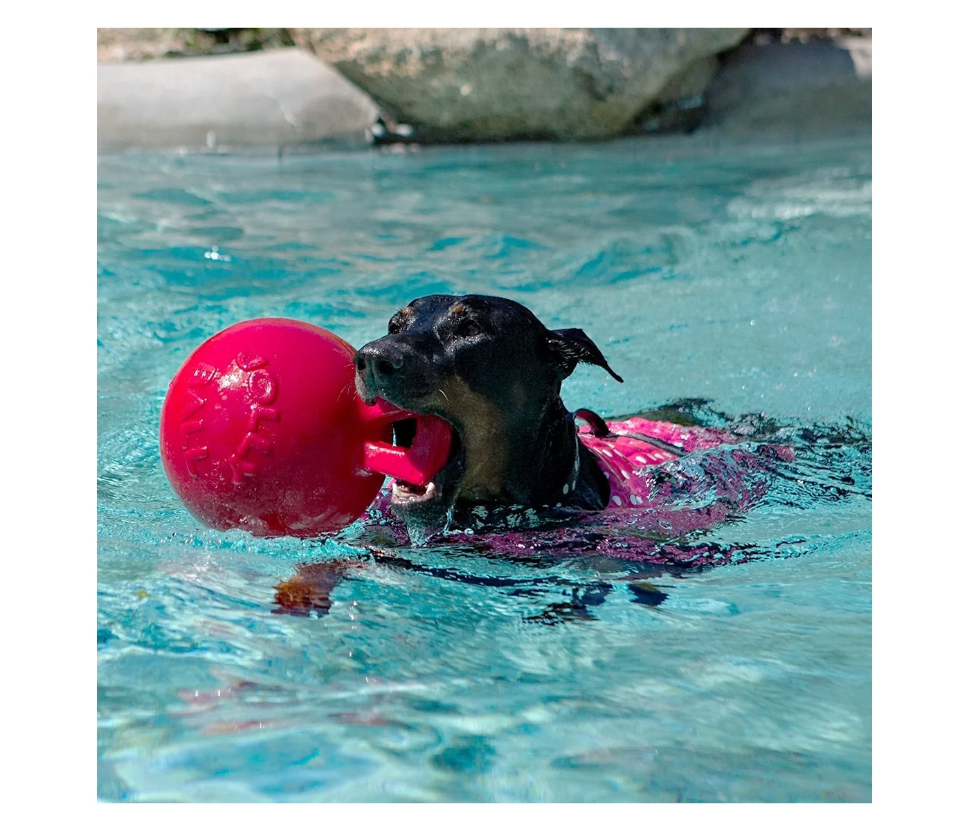 Jolly Pets - Tug-n-Toss Jolly Ball - Red - Buy Online SPR Centre UK