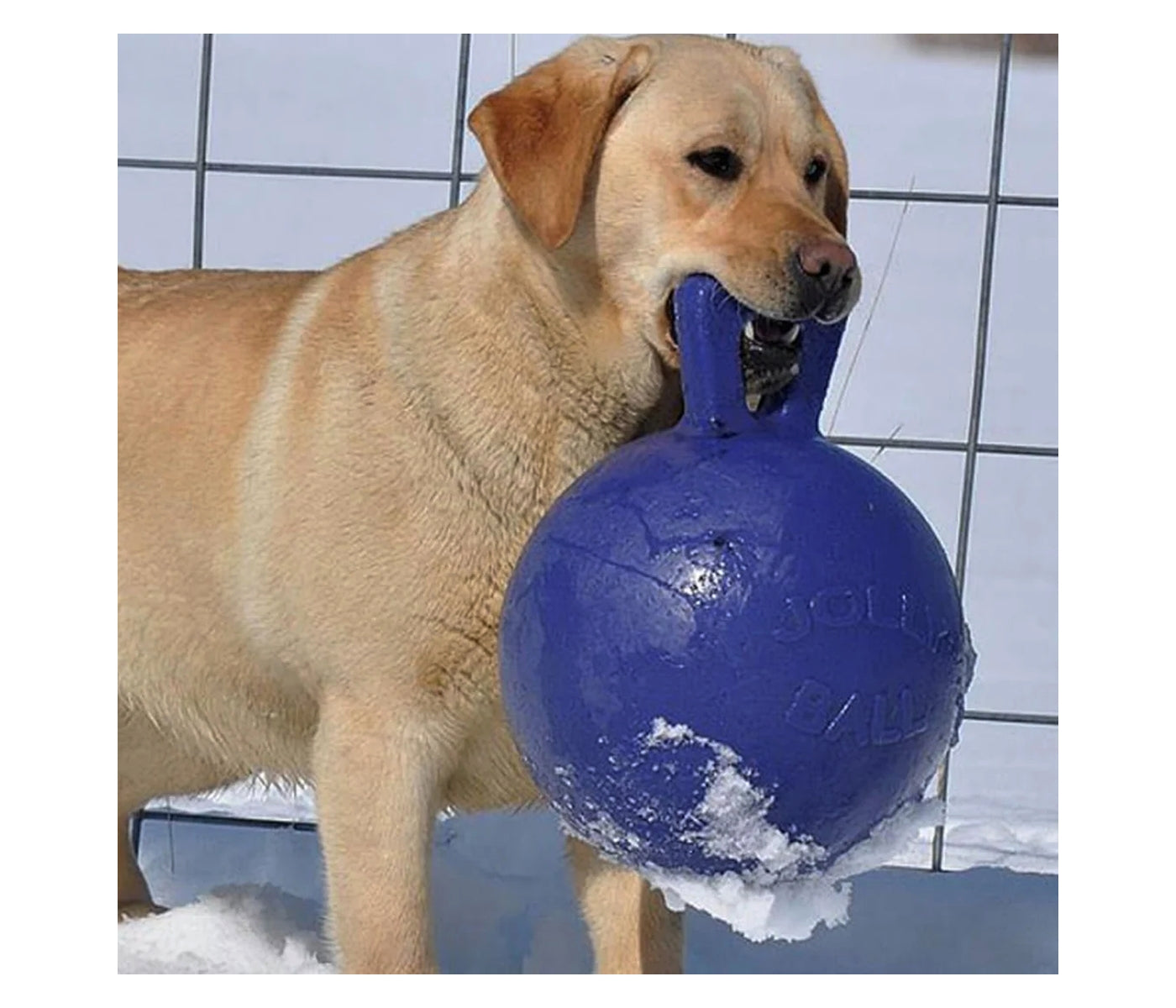 Jolly Pets - Tug-n-Toss Jolly Ball - Blue - Buy Online SPR Centre UK