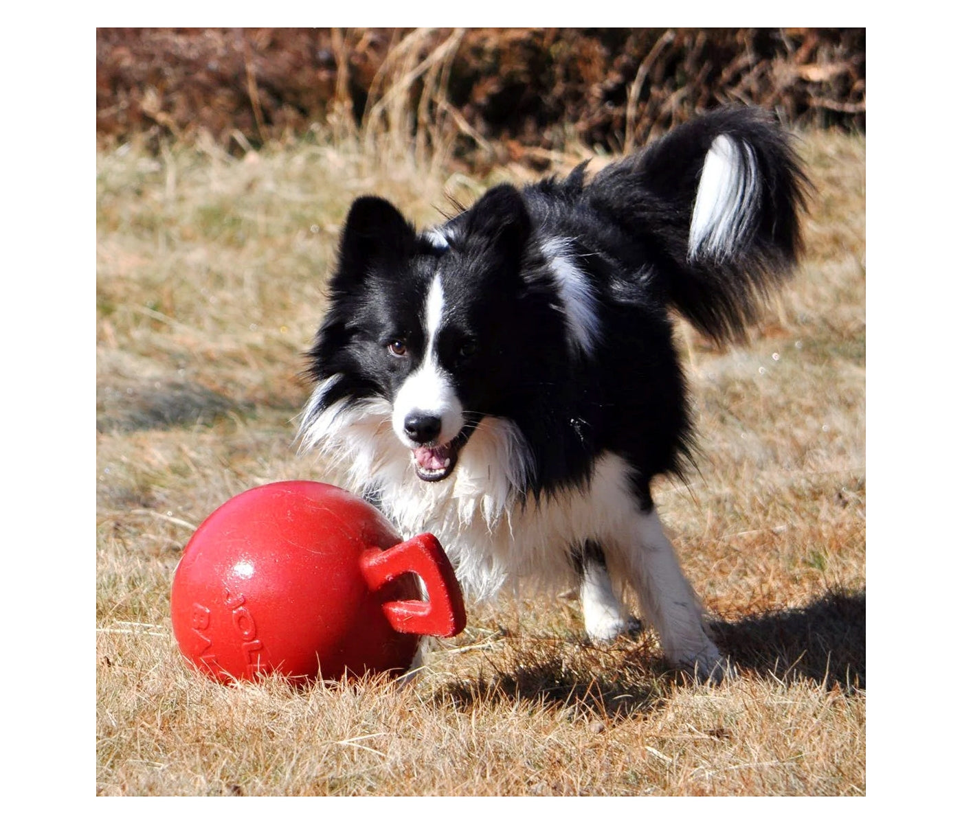 Jolly Pets - Tug-n-Toss Jolly Ball - Red - Buy Online SPR Centre UK