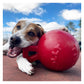 Jolly Pets - Tug-n-Toss Jolly Ball - Red - Buy Online SPR Centre UK