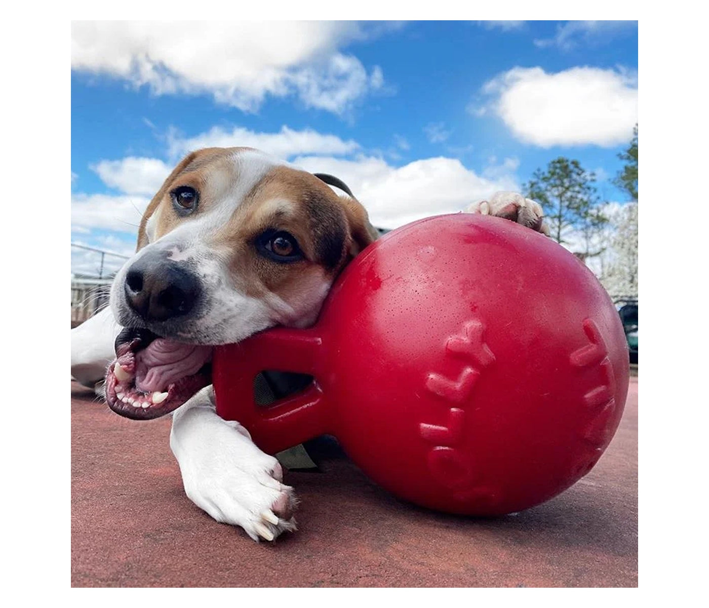 Jolly Pets - Tug-n-Toss Jolly Ball - Red - Buy Online SPR Centre UK