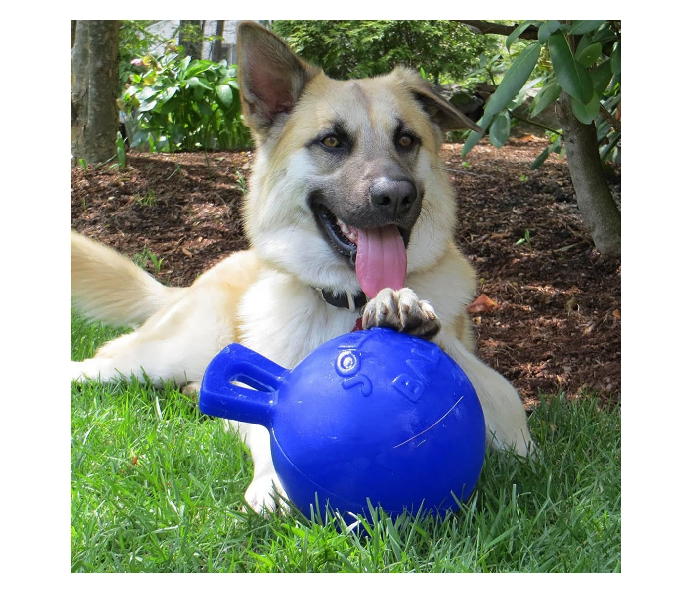 Jolly Pets - Tug-n-Toss Jolly Ball - Blue - Buy Online SPR Centre UK