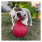 Jolly Pets - Tug-n-Toss Jolly Ball - Red - Buy Online SPR Centre UK