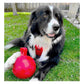 Jolly Pets - Tug-n-Toss Jolly Ball - Red - Buy Online SPR Centre UK