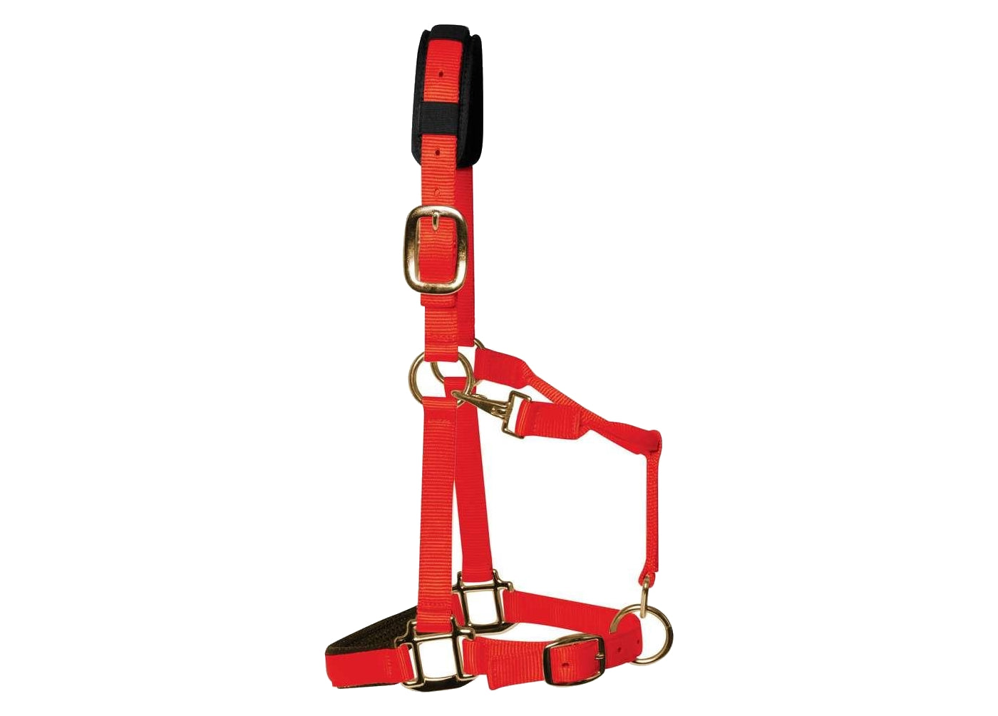 KM Elite - Padded Headcollar (Red) - Buy Online SPR Centre UK