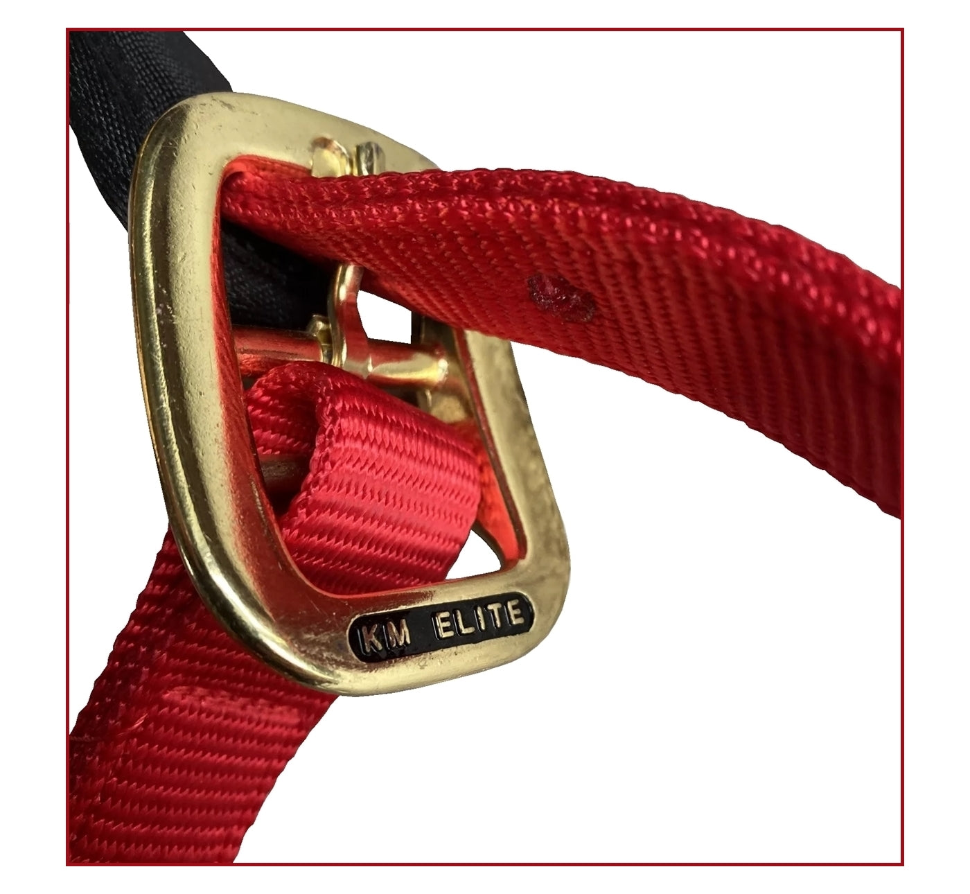 KM Elite - Padded Headcollar (Red) - Buy Online SPR Centre UK