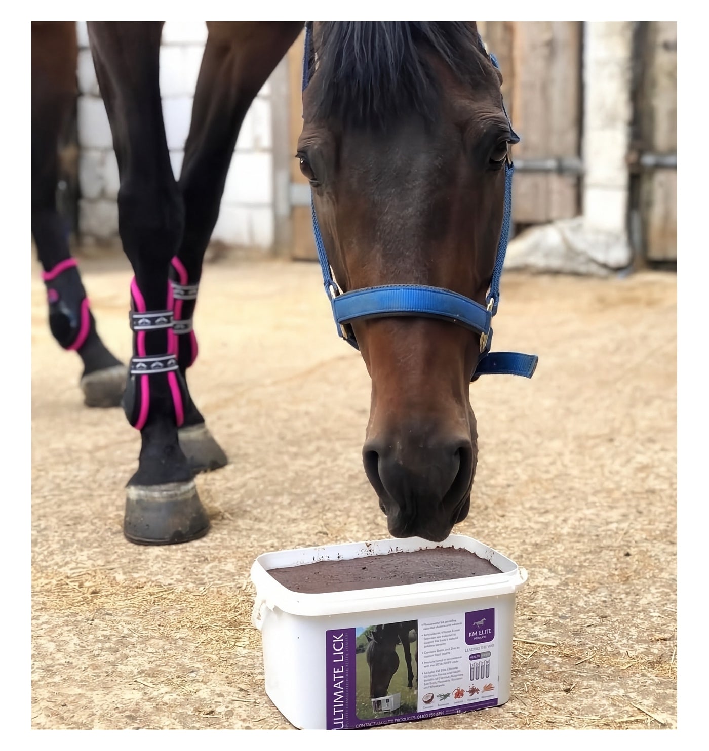 KM Elite - Ultimate Lick for Horses 7.5kg - Buy Online SPR Centre UK