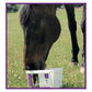 KM Elite - Ultimate Lick for Horses 7.5kg - Buy Online SPR Centre UK