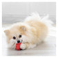 KONG Classic - Dog Toy (Small) - Buy Online SPR Centre UK