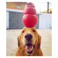 KONG Classic - Dog Toy (X-Large) - Buy Online SPR Centre UK