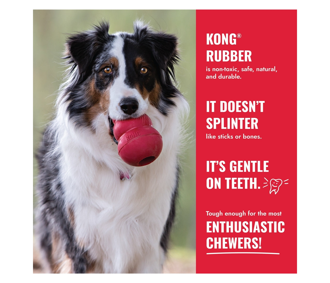KONG Classic - Dog Toy (X-Large) - Buy Online SPR Centre UK