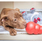 KONG Classic - Dog Toy (Medium) - Buy Online SPR Centre UK