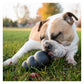 KONG Extreme - Dog Toy (Large) - Buy Online SPR Centre UK