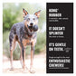 KONG Extreme - Dog Toy (Large) - Buy Online SPR Centre UK