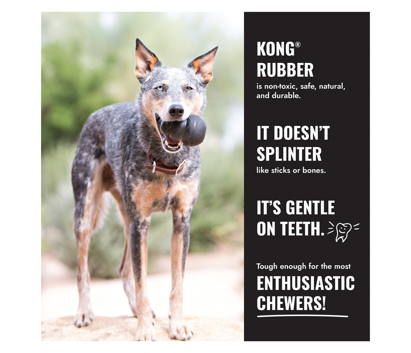 KONG Extreme - Dog Toy (Large) - Buy Online SPR Centre UK