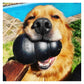 KONG Extreme - Dog Toy (Large) - Buy Online SPR Centre UK
