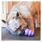 KONG Senior - Dog Toy (Large) - Buy Online SPR Centre UK