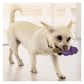 KONG Senior - Dog Toy (Medium) - Buy Online SPR Centre UK