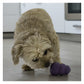 KONG Senior - Dog Toy (Small) - Buy Online SPR Centre UK