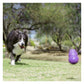 KONG Senior - Dog Toy (Large) - Buy Online SPR Centre UK