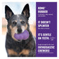KONG Senior - Dog Toy (Large) - Buy Online SPR Centre UK