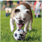 KONG - Sport Balls - 3 Pack (Size Small) - Buy Online SPR Centre UK