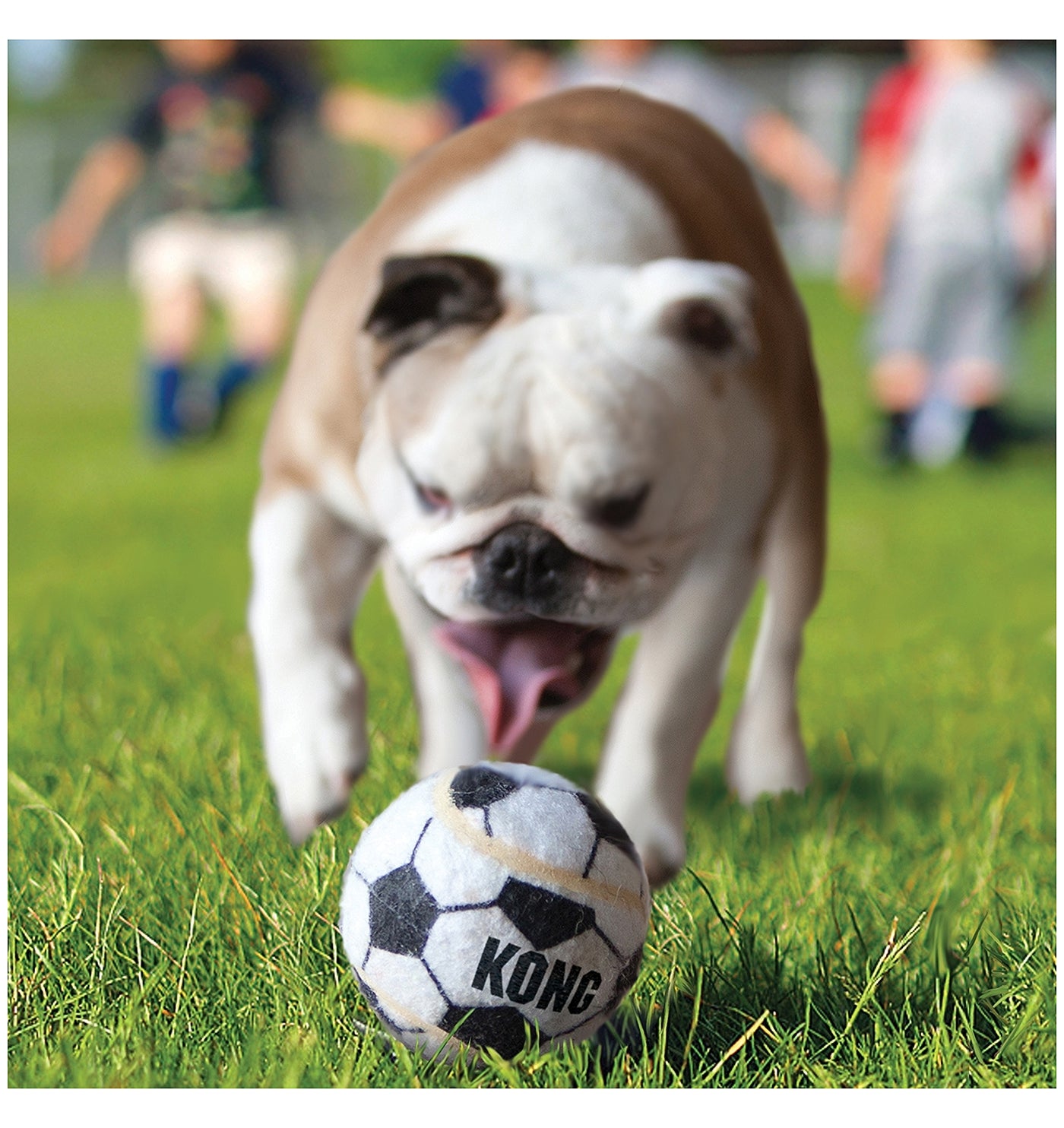 KONG - Sport Balls - 3 Pack (Size Small) - Buy Online SPR Centre UK