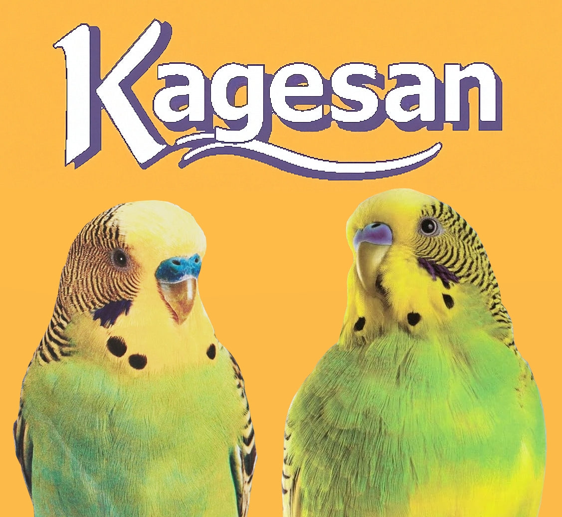 Kagesan - Cage Bird Sanded Sheets (Green) - 33cm x 25cm - 6 Pack - Buy Online SPR Centre UK