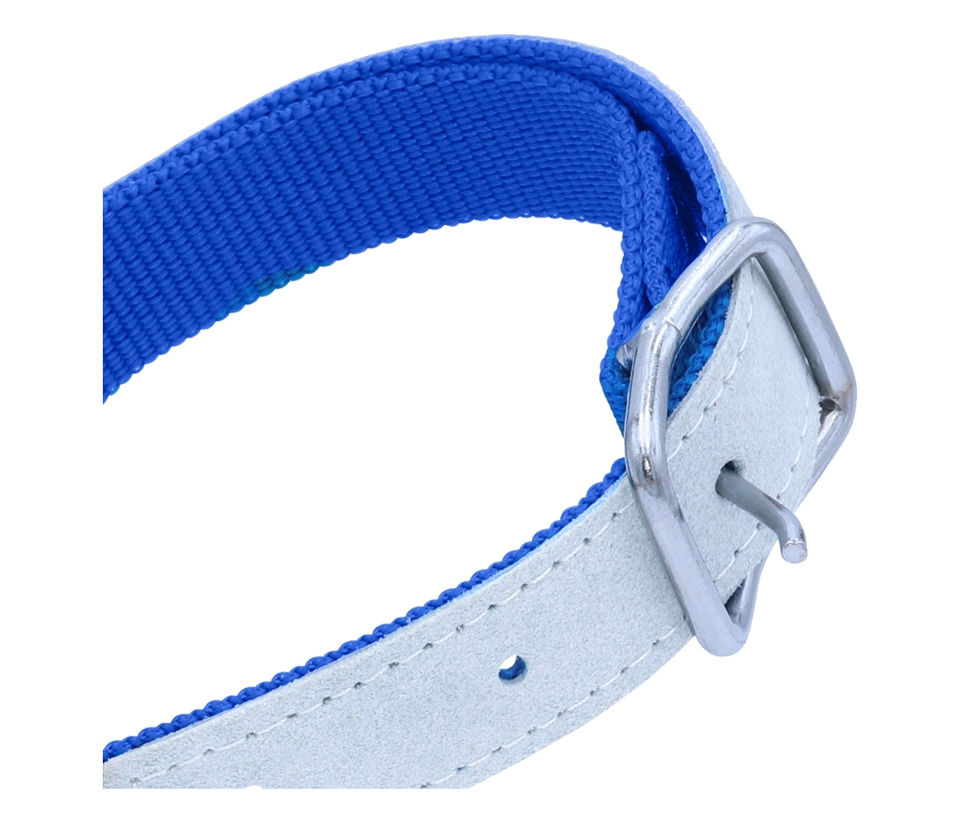 Kamer - Blue Nylon & Leather Collar for Sheep & Goats - Buy Online SPR Centre UK
