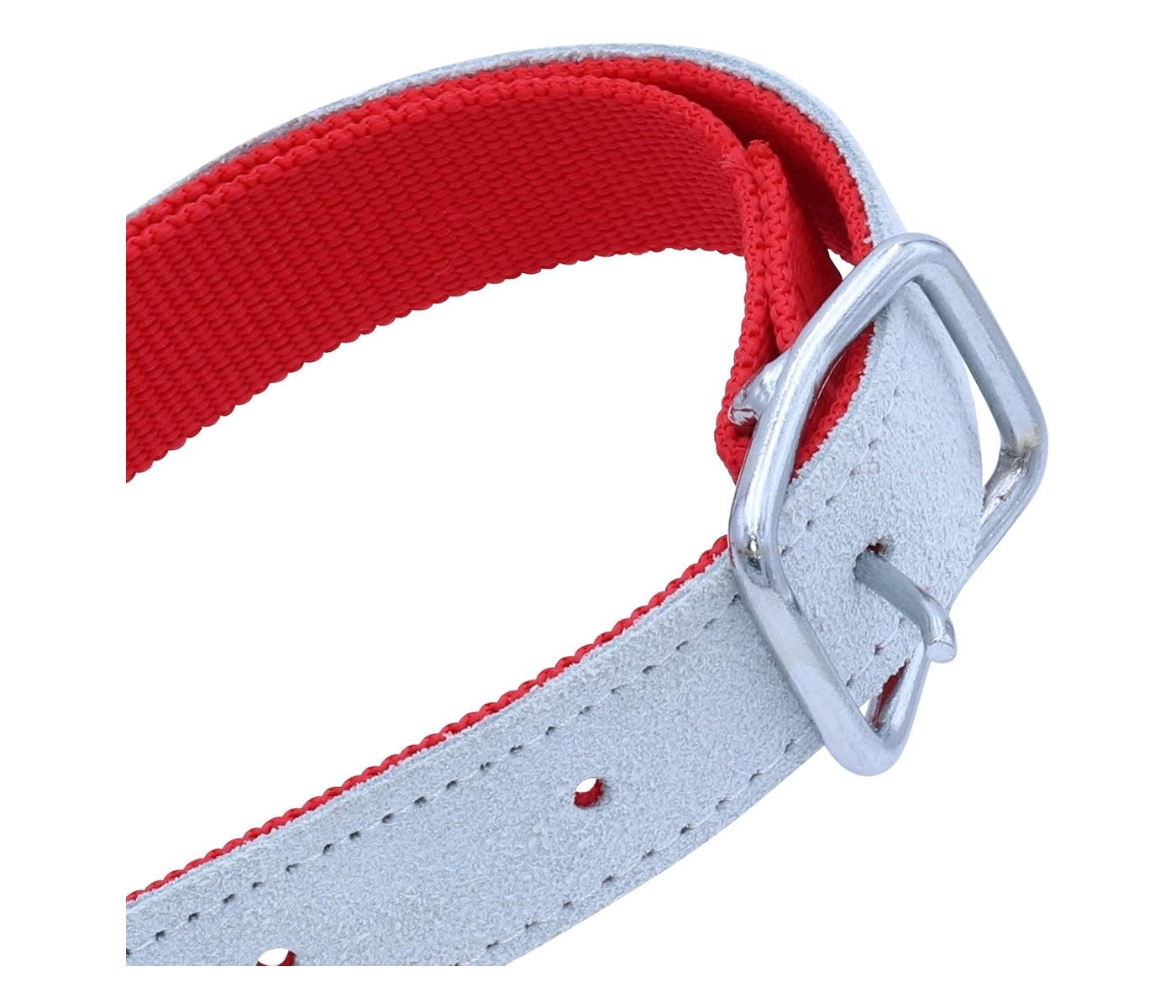 Kamer - Red Nylon & Leather Collar for Sheep & Goats - Buy Online SPR Centre UK