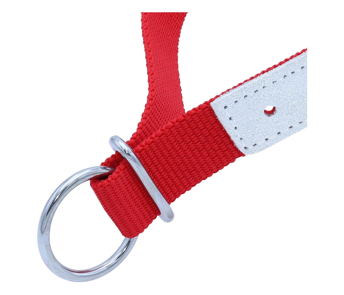 Kamer - Red Nylon & Leather Collar for Sheep & Goats - Buy Online SPR Centre UK