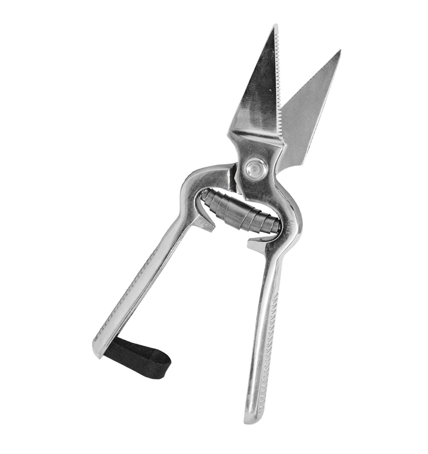 Kamer - Serrated Footrot Shears - Buy Online SPR Centre UK