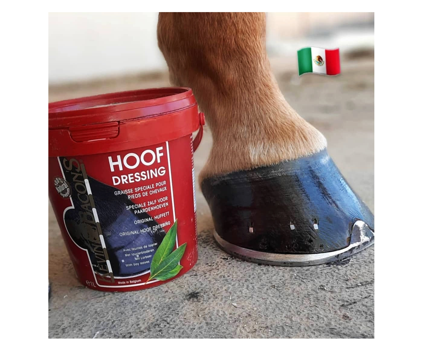 Old Timer's Hoof Dressing - R.E. Fennell Co. Inc Old Timer's Hoof Dressing - R.E. Fennell Co. Inc