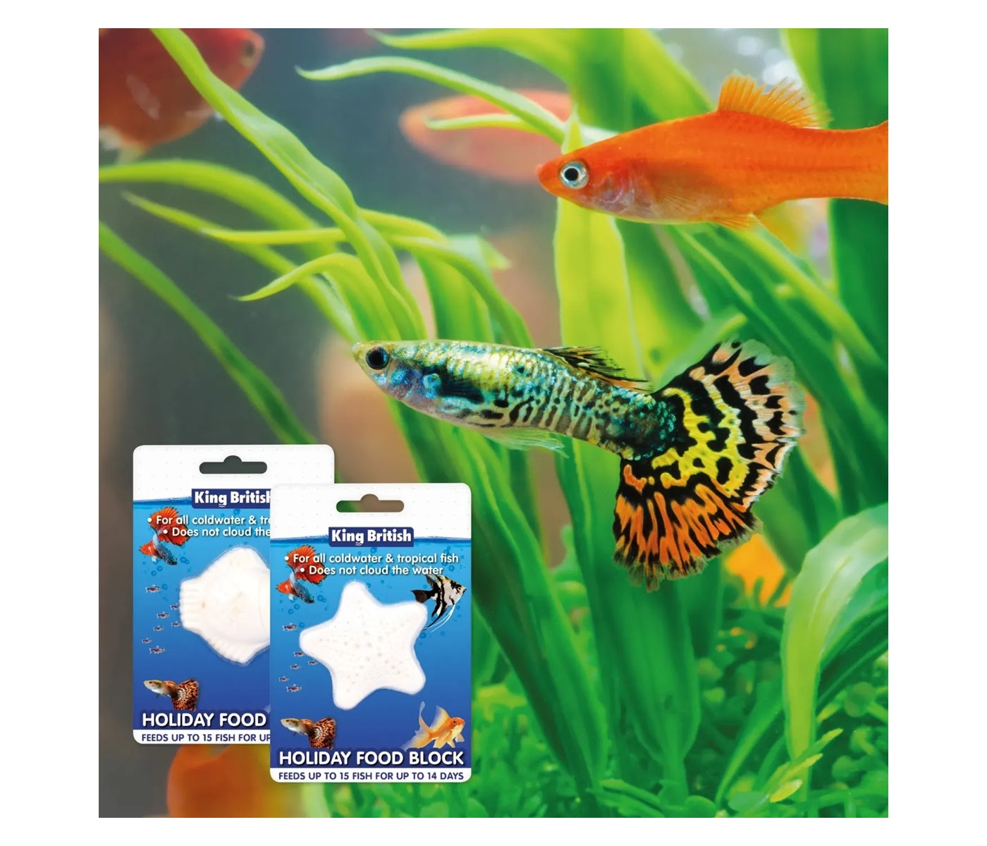 King British - Holiday Food Block - Buy Online SPR Centre UK