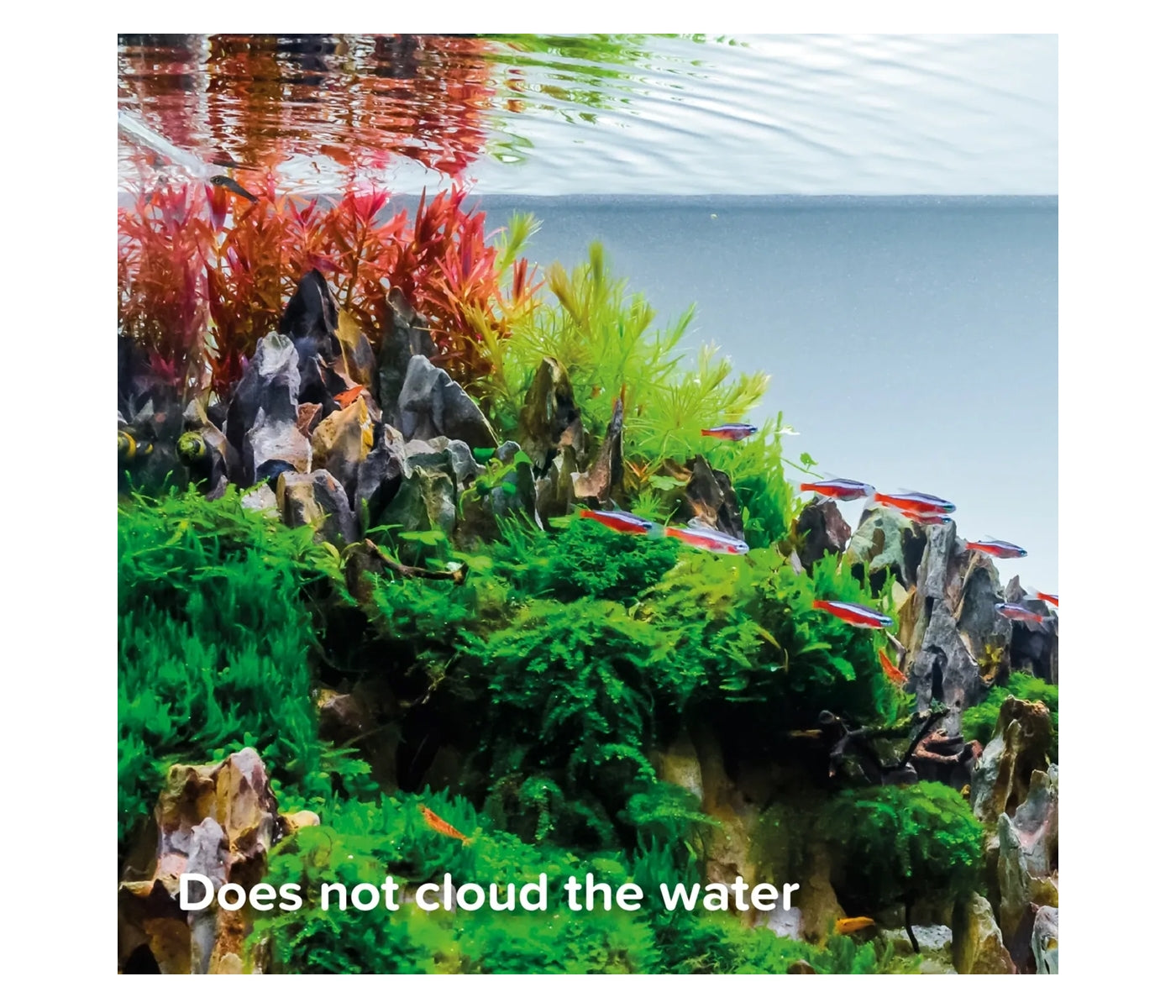 King British - Holiday Food Block - Buy Online SPR Centre UK