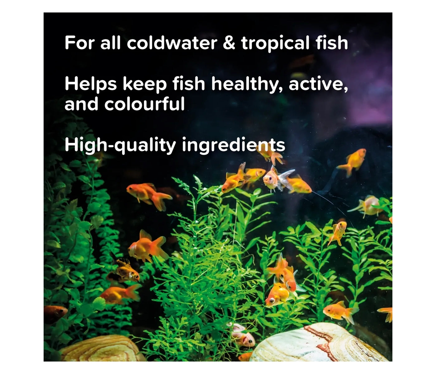 King British - Holiday Food Block - Buy Online SPR Centre UK