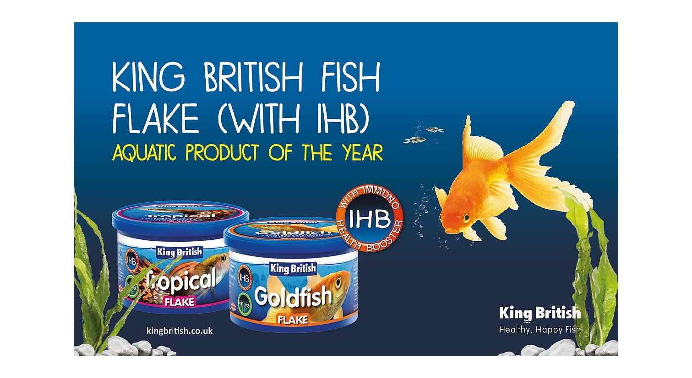 King British - Goldfish Flake (with IHB) - Buy Online SPR Centre UK