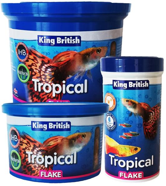 King British Tropical Flake (with IHB) | Fish Food -  Buy Online SPR Centre UK